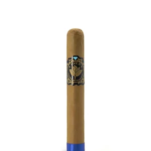 Casa Nicaragua Five B Esplendido Cigar